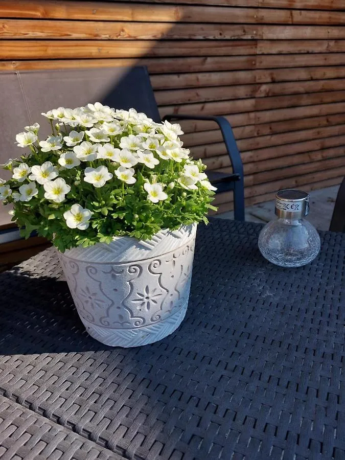 Casa Marlu Apartment Vicenza Italy